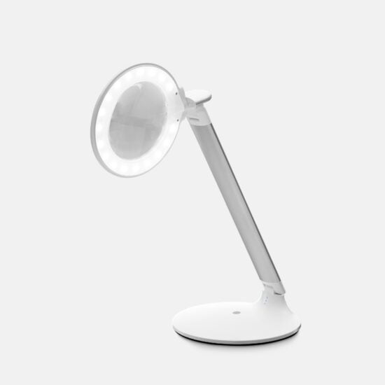 Portable magnifying light